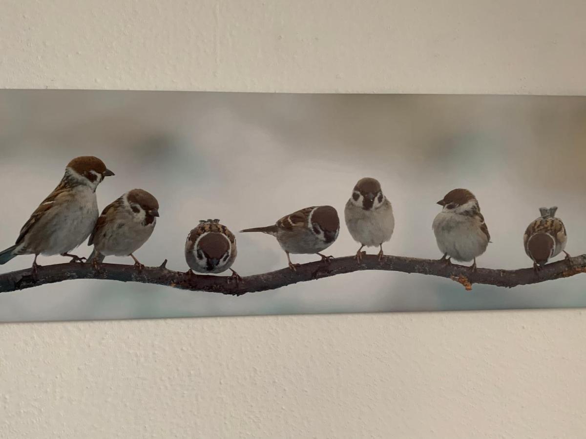 Ferienwohnung Luettje Hoern Эмден Экстерьер фото